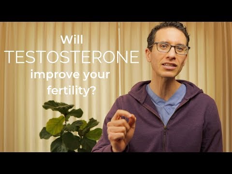 Doctor explains Testosterone - does it help or hurt fertility?