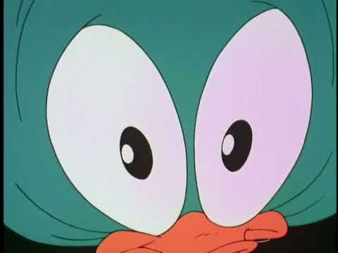 Never Too Late To Loon - Plucky Duck Vs Albert Einstein