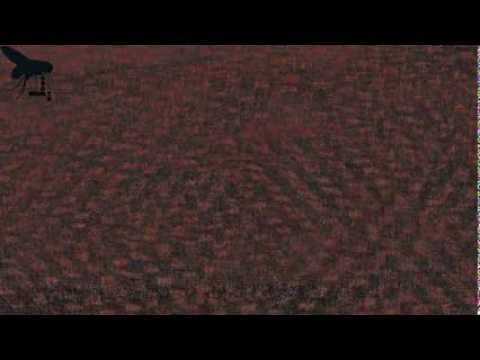 Doom Boom TV S1 Ep 01 "Fly/Cartrivision Combo"