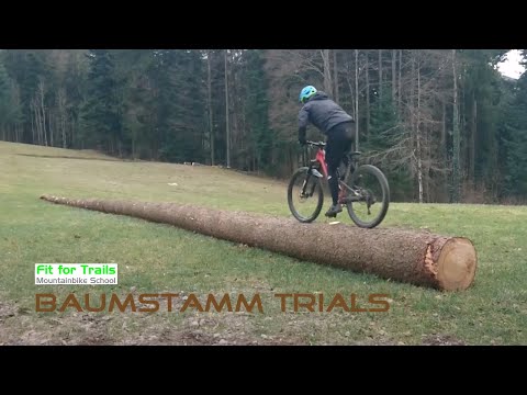 Baumstamm MTB-Trials | Fit for Trails