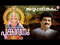 അയ്യപ്പ തിന്തകം Ayyappa Devotional Song Malayalam Hindu Devotional Mg Sr