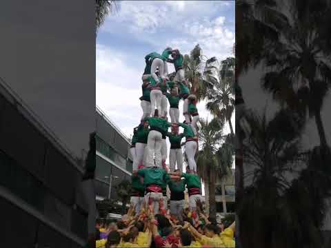 video-cover