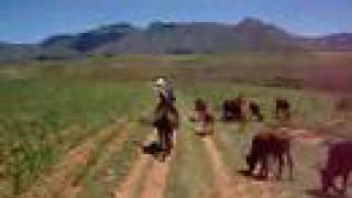 preview picture of video 'Horseback in Lesotho'