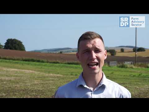 Understanding your carbon to nitrogen ratio