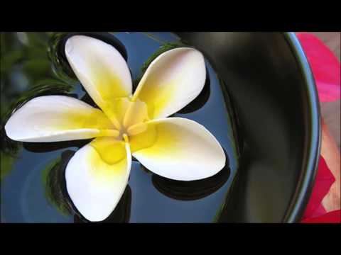 Kropsscanning. Lydvideo Mindfulness v. Falck Healthcare