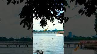 Download lagu Story keren Lagu Gigi - 11 Januari (lirik). #short #shorts #kopihitam mp3