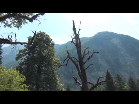 Slovenia Alps.At Camp site Polovnik 2012.06. 12