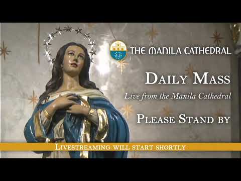 Daily Mass at the Manila Cathedral - October 15, 2021 (7:30am)