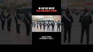 월 4만 5천원이면 부산 대중교통이 무제한 [부산]