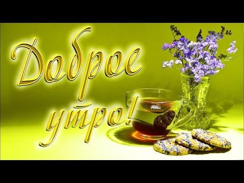 💐 🌷С добрым утром! Отличного дня! 💐 🌷Хорошего настроения! Пусть день будет наполнен позитивом!💐 🌷