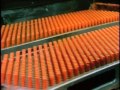 Classic Sesame Street Crayon Factory Stereo