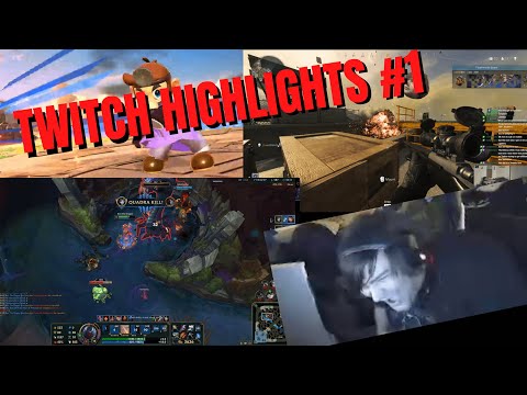 Bert The Dragon Twitch Highlights #1
