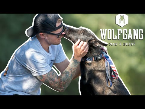 Martingale Dog Collar Review- Wolfgang Man & Beast