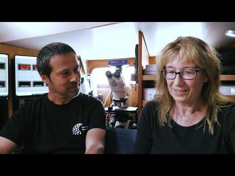 Jungforscher und Weltverbesserer - Tag 12 der Elbe-Expedition in Lauenburg und Boizenburg