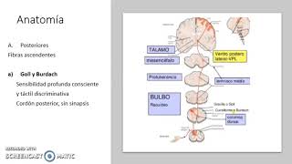 Compresión medular
