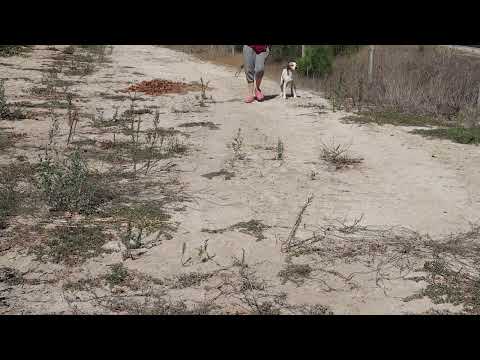 Vídeo de MANOLO