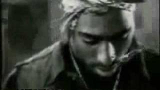 The Rose that Grew from Concrete