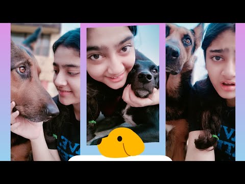 MY DOGS CONTROL MY DAY FOR 24 HOURS🐾🐕‍🦺🐕 || sulagna Mukherjee||