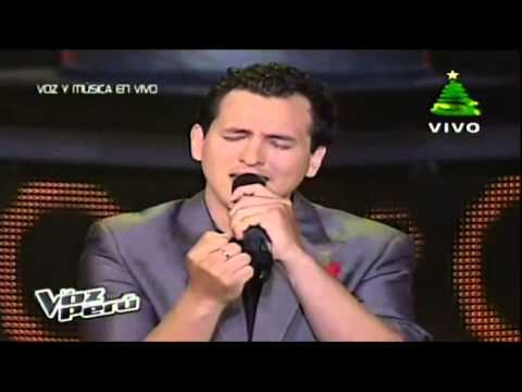 Javer Arias - Si te dijeron