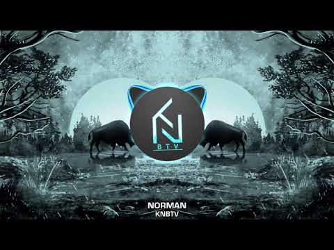 NORMAN x M KEES - PARTY FLOW [ORIGINAL MIX]