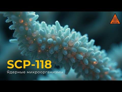 SCP 118 —  «Nukleare Protisten»