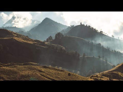 India Amazing Forest - Horizon view forest with Beautiful Nature-4k Video Hd  Relax With Nature