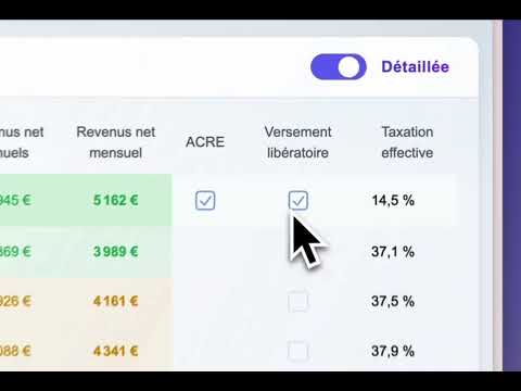 Simulateur freelance video preview