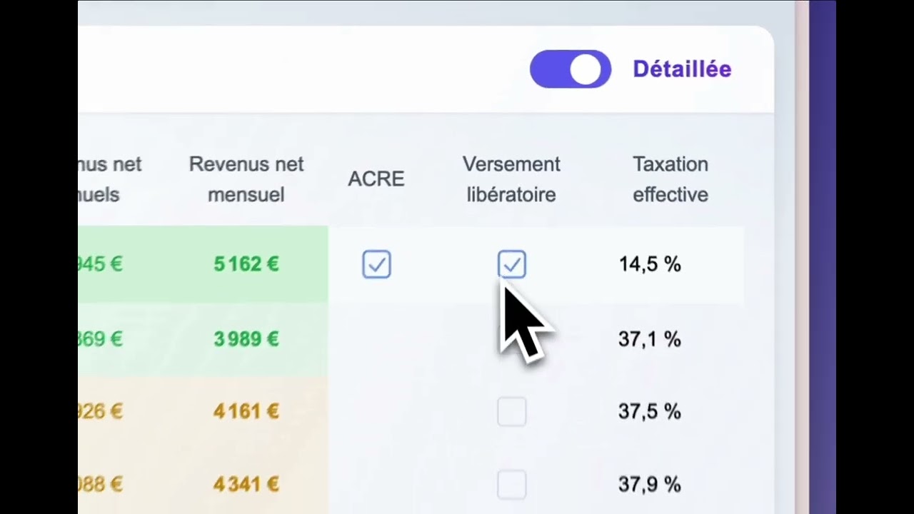 Simulateur freelance video preview