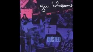 Gin Blossoms - Angels Tonight