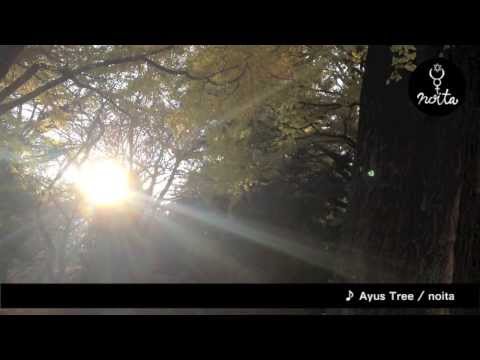 noita - Ayus Tree (Teaser)