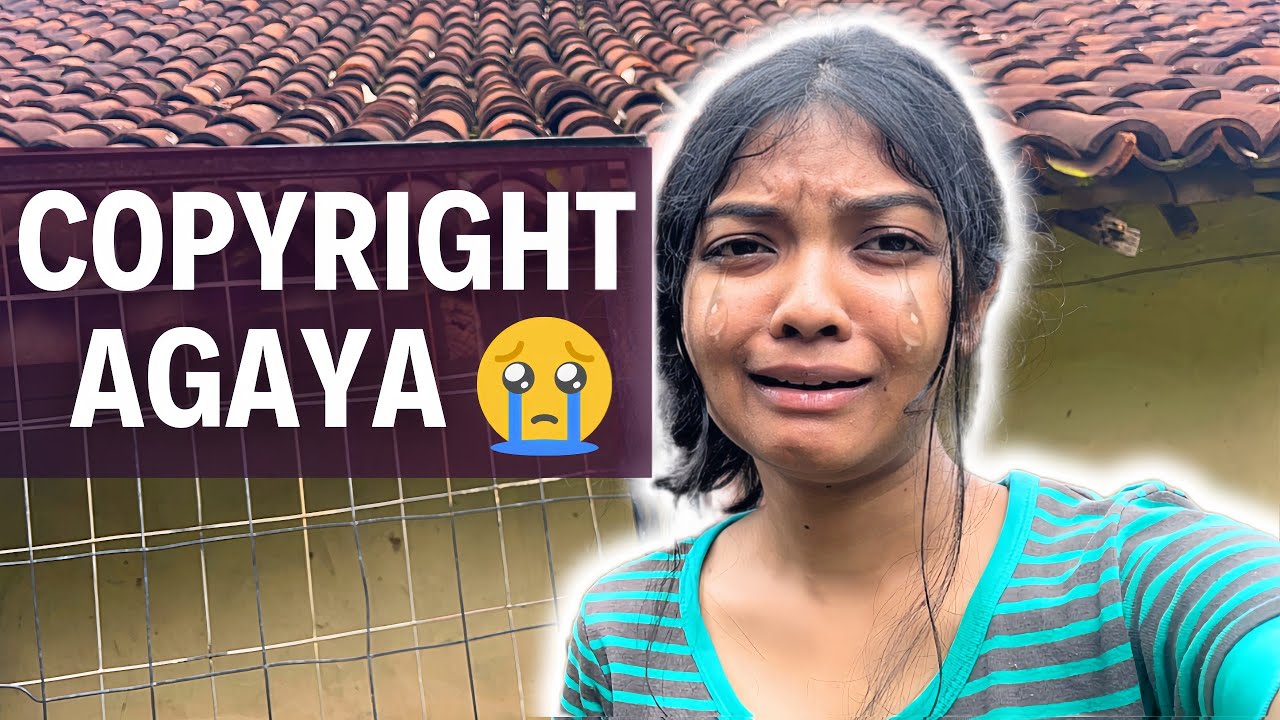 I got 3 fake COPYRIGHT claims on my videos😭