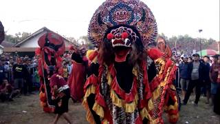 Download lagu Full Singo Barong Galak - Super MBEROTT..!!! - NEW JOYO PUTRO - Live Kaloran Ngronggot 2019 mp3