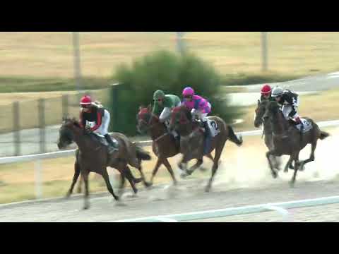 2022.08.07. 07. futam - PESTI NAPLÓ HENDIKEP (V.o.) (szintetikus pálya)