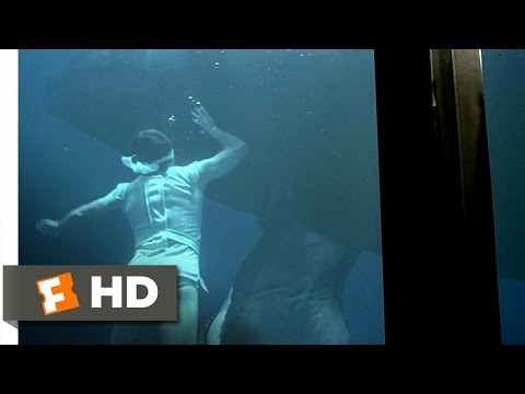Star Trek 4: The Voyage Home (4/10) Movie CLIP - Swimming with the Whales (1986) HD