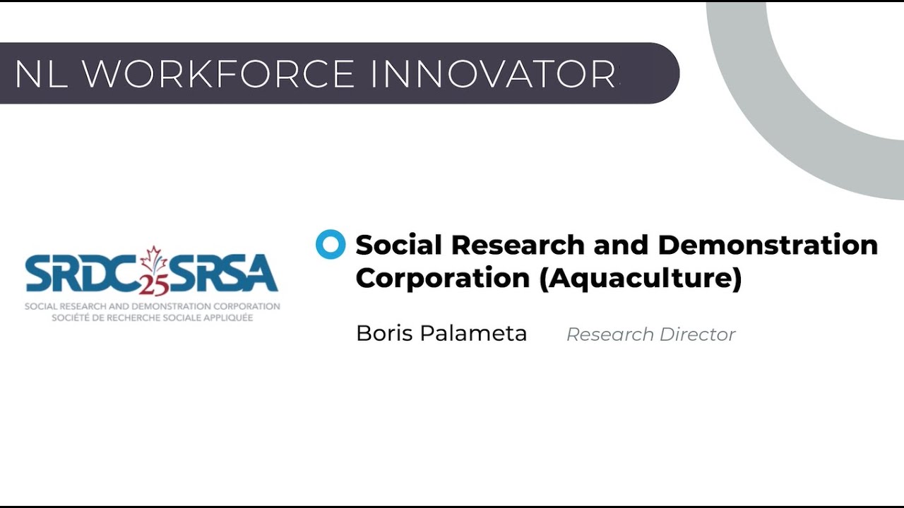 NL Workforce Innovator - Social Research and Demonstration Corporation (SRDC)