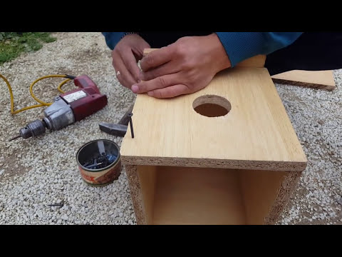 How To Make Simple Birds Cage - Make your Birds Happy DIY ( Creative Ideas )