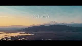 Tarık İster feat. Elif Buse Doğan - Telli Turnam (official Video