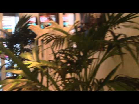 MTP Blend  Venue interior