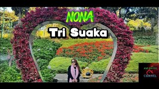 Download lagu NONA - Tri Suaka mp3