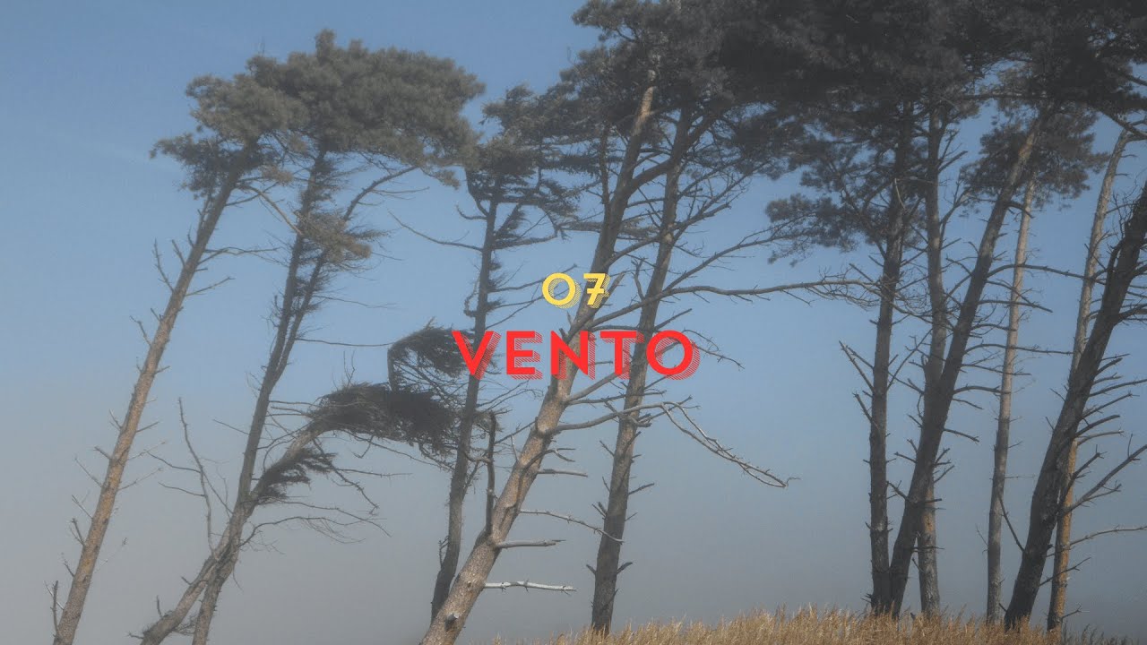 #7 - Vento [CMS]