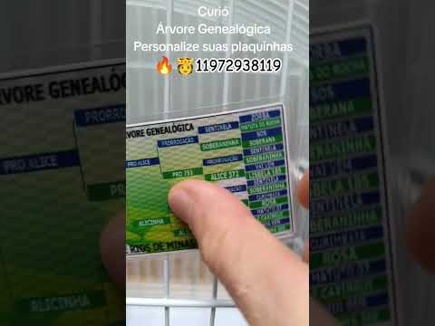 Enviei via Sedex para Entre Rios De Minas-MG 🔥🫅