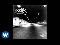Skrillex The Reason