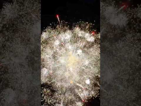 Video TXB279