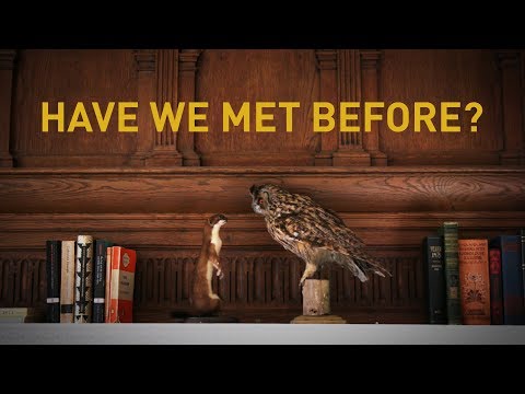 Have We Met Before - Tom Rosenthal