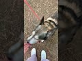 Paco 0912/23