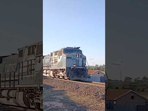 trem Santa Ernestina sp #train #shorts
