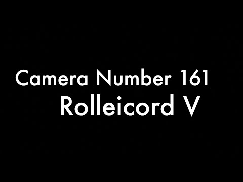 365 Camera Project - Camera 161 Rolleicord V