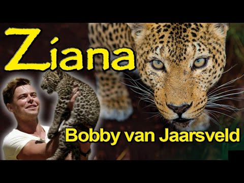 Ziana song preview – Bobby van Jaarsveld