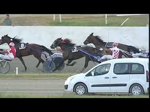 Napoli Trotto 28/07/2023 - 2ª corsa