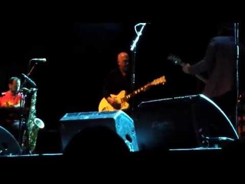 Black Sorrows - Hold On To Me (live, Oslo, April 24th 2014)